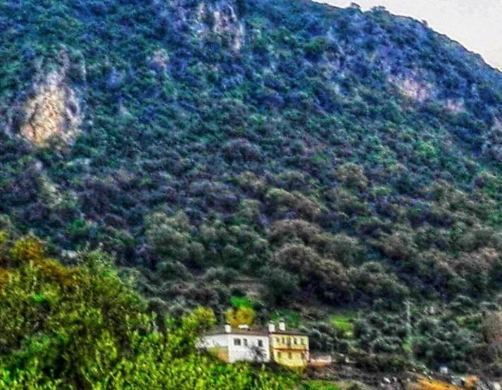 Alto De Torrecillas เอลบอสเก ภายนอก รูปภาพ